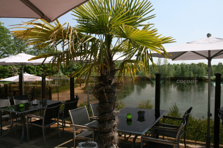 Teambuilding Eindhoven Huwelijk